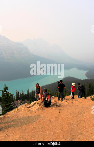 Les touristes à l'ère glaciaire Peyto Lake, la Route 93, promenade des Glaciers, Banff National Park, site du patrimoine mondial de l'UNESCO, des montagnes Rocheuses, Alberta, Canada. Banque D'Images