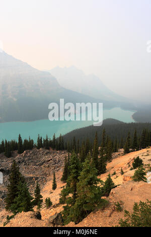 Misty vue sur le Lac Peyto, Route 93, promenade des Glaciers, Banff National Park, site du patrimoine mondial de l'UNESCO, des montagnes Rocheuses, Alberta, Canada. Banque D'Images