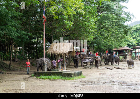 Asie,Thaïlande,Mae Rim,Maetaman Elephant Camp Banque D'Images