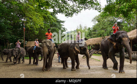 Asie,Thaïlande,Mae Rim,Maetaman Elephant Camp Banque D'Images