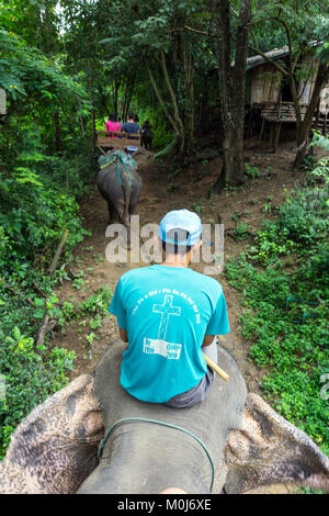 Asie,Thaïlande,Mae Rim,Maetaman Elephant Camp instructeur,randonnée Banque D'Images