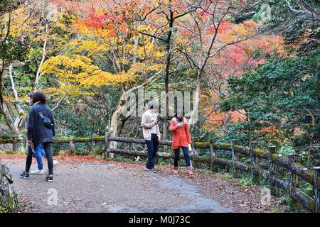 Le JAPON, MINOO - 22 NOVEMBRE 2016 : les visiteurs à l'ère Meiji no Mori Mino Parc Quasi-National près d'Osaka, au Japon. Le parc est connu pour ses spectaculaires de l'automne Banque D'Images