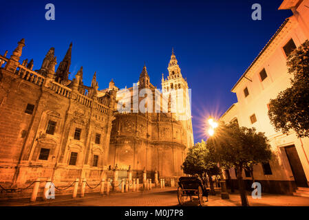 La cathédrale de Séville et la Giralda par nuit, Andalousie, Espagne Banque D'Images