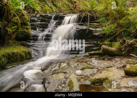 Une chute en-y-établissement Blaen glyn près de Torpantau, Powys, Wales, UK Banque D'Images