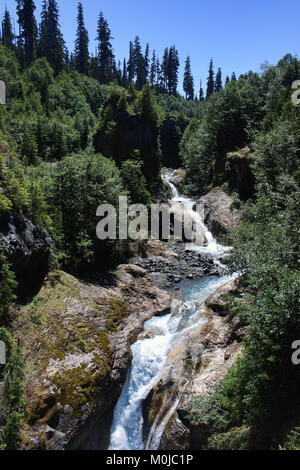 Canyon de lave d'eau tombe dans la forêt nationale de Gifford Pinchot Banque D'Images