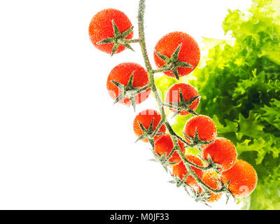 Des tomates cerises rouges sur la branche et feuilles de laitue sur fond blanc Banque D'Images