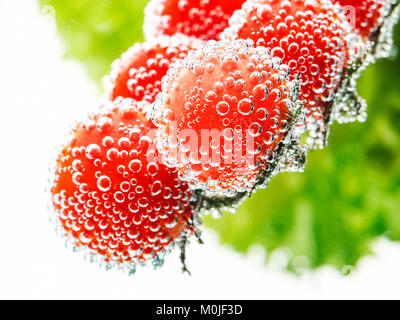 Des tomates cerises rouges sur la branche et feuilles de laitue sur fond blanc Banque D'Images