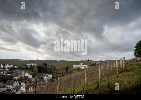 Closteri Johannisber. Rheingau, Hessen, Allemagne. Banque D'Images