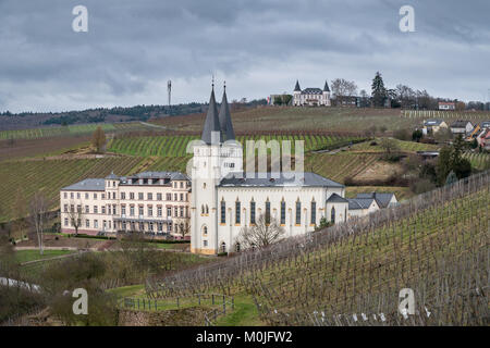 Closteri Johannisber. Rheingau, Hessen, Allemagne. Banque D'Images