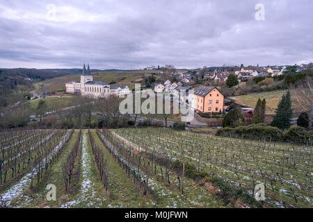 Closteri Johannisber. Rheingau, Hessen, Allemagne. Banque D'Images