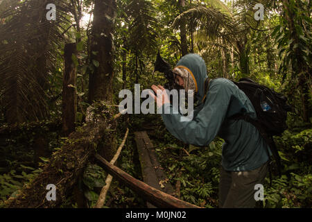 Un photographe de la nature s'arrête pour photographier quelque chose dans la forêt amazonienne. Banque D'Images