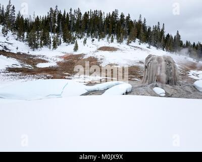 Snow entoure le Lone Star Lone Star dans le geyser Geyser Basin au cours de l'hiver au parc national de Yellowstone, 19 janvier 2017 dans le Wyoming. Banque D'Images