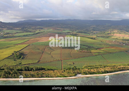 Les champs agricoles par la lagune par la chute d'eau à la péninsule Le Morne Brabant, à l'extrême sud-ouest de l'astuce, Rivière Noire Distr Banque D'Images