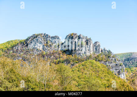 Voir de gros plan roches Seneca en automne, feuillage jaune doré sur les arbres, la forêt Banque D'Images