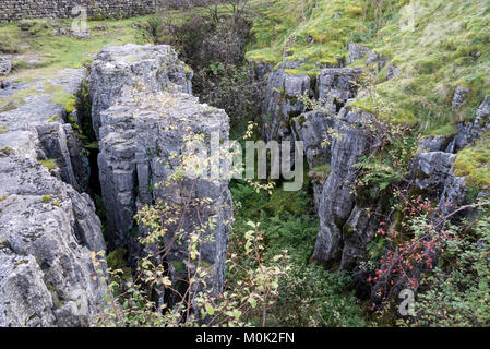 Le Buttertubs, une structure géologique près de la route entre Hawes et Muker dans le North Yorkshire, en Angleterre. Banque D'Images