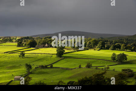 Des nuages de pluie plus de champs verts dans Swaledale, North Yorkshire, Angleterre. Banque D'Images