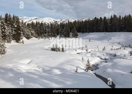 Entoure la neige à du ruisseau Cascade le Parc National de Yellowstone en hiver le 7 décembre 2017 dans le Wyoming. Banque D'Images