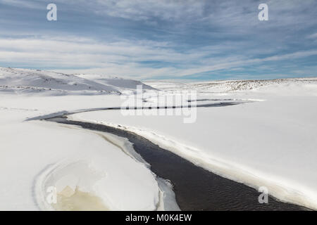 Le bois entoure neige Creek dans la Hayden Valley au Parc National de Yellowstone en hiver le 7 décembre 2017 dans le Wyoming. Banque D'Images