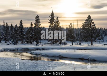 Entoure de neige Gibbon Creek au coucher du soleil au Parc National de Yellowstone en hiver 21 Décembre, 2017 dans le Wyoming. Banque D'Images