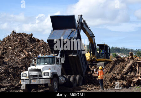 Des monticules de débris végétatifs sont collectées et triées par le U.S. Army Corps of Engineers entrepreneurs partout à Porto Rico, à l'appui de l'Ouragan Maria les efforts de rétablissement. Banque D'Images