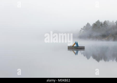 Le brouillard entoure une petite île sur le lac de tortues dans la région de Muskoka (Ontario), près de Rosseau ; Ontario, Canada Banque D'Images