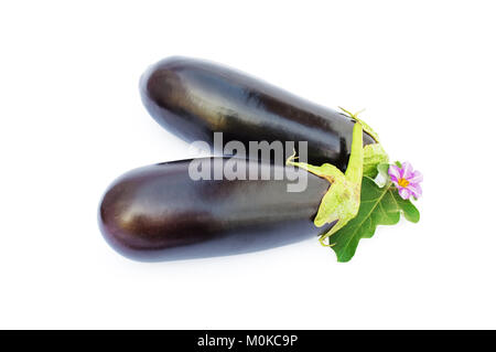 Aubergines fraîches avec des fleurs et feuilles, isolé sur fond blanc Banque D'Images