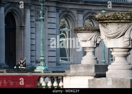 Soldat de la garde royale, patrouiller devant un poste de garde, Palais Royal, Palais Royal Bruxelles, Belgique. Banque D'Images