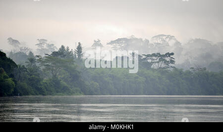 La rivière Sangha. Brume matinale sur la rivière africaine Sangha. Congo. Afrique du Sud Banque D'Images