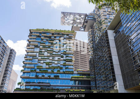 Award-winning polyvalent d'un Central Park, Chippendale, Sydney, NSW, Australie Banque D'Images