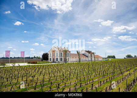 Rangées de noirci, de vignes près de Saint-Emilion, une commune française, située dans le département de la Gironde viticole, Nouvelle-Aquitaine, le sud-ouest de la France Banque D'Images