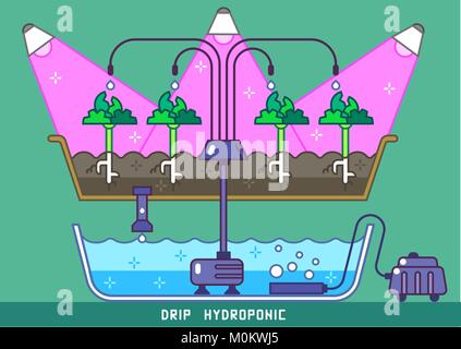 Les plantes croissant dans phytolamps hydroponicss avec pipes et pompe Illustration de Vecteur