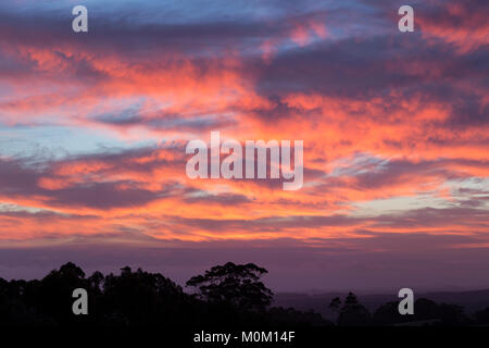 Un magnifique coucher du soleil illumine le paysage sur McLeod Road, près de Danemark, l'Australie Occidentale Banque D'Images