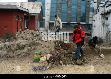 Srinagar, au Cachemire. 23 Jan, 2018. La patrouille de police indiennes avant République indienne journée Janvier 26th. La sécurité a augmenté depuis les attaques à la grenade 2 le jour avant. Un civil et un policier ont été blessés dans des attaques par des militants lundi dans la vallée du Cachemire, a annoncé la police. Credit : Sofi suhail/Alamy Live News Banque D'Images