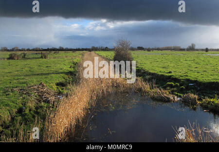 Paysages d'hiver autour d'Stodmarsh, Kent, Angleterre, Grande-Bretagne Banque D'Images