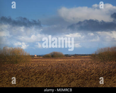 Paysages d'hiver autour d'Stodmarsh, Kent, Angleterre, Grande-Bretagne Banque D'Images