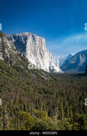 Vue d'El Capitan, Yosemite National Park California Banque D'Images