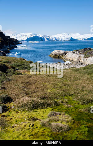 L'habitat de la toundra arctique près de Ilulissat d'icebergs au large dans la baie de Disko. Sermermiut Ilulissat Groenland. Site du patrimoine mondial de l'UNESCO Banque D'Images