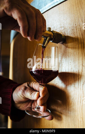 Claret (Sud de la France) : viticole 'Le Mas Foulaquier Pic Saint-Loup, des vins AOP. Verre de vin rouge et le corps Banque D'Images