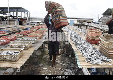 Au nord de Jakarta, Indonésie. 23 Jan, 2018. Trier les travailleurs du poisson frais au Port de Muara Angke le 23 janvier 2018 à Jakarta, Indonésie.Basé sur des données de points qui ont été gérés par la Direction générale de renforcer la compétitivité de la Marine et de la pêche, la valeur d'exportation des produits de la pêche a augmenté de 8,12  %, contre USD3.78 milliards en 2016 à USD4.09 milliards en 2017.l'augmentation de la balance commerciale qui a progressé de 7,42 % contre USD3.403 milliards en 2016 à USD3.655 milliards de dollars en 2017. Credit : Risa/Krisadhi Pacific Press/Alamy Live News Banque D'Images