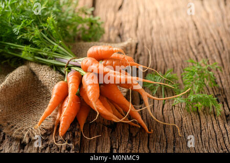 Carottes biologiques frais avec des feuilles vertes sur fond sombre. Les légumes. L'alimentation saine Banque D'Images