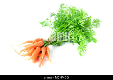 Carottes biologiques frais avec des feuilles vertes isolé sur fond blanc. Les légumes. L'alimentation saine Banque D'Images