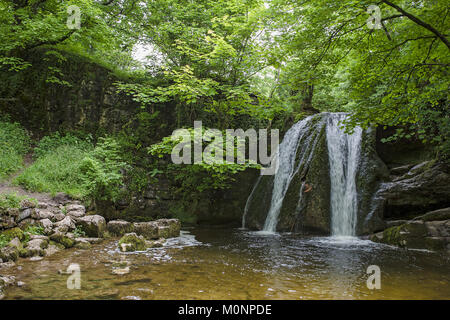 Janet's Foss, une petite cascade sur Gordale Beck, North Yorkshire, England, UK Banque D'Images