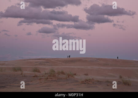 NC01391-00...CAROLINE DU NORD - Crépuscule sur une soirée très venteux sur les dunes de sable de Jockey's Ridge State Park sur l'Outer Banks à Nags Head. Banque D'Images