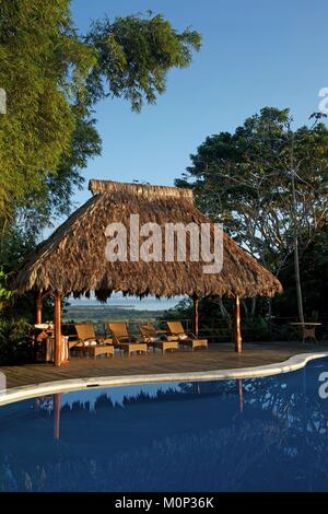 Costa Rica, Osa peninsula,transats alignés au bord de la piscine de l'ecolodge Lapa Rios sous un pavillon avec toit vert,donnant sur l'océan Banque D'Images