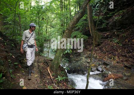 Costa Rica, péninsule d'Osa, guide naturaliste face à une rivière dans la forêt primaire dans le domaine de l'ecolodge Lapa Rios Banque D'Images