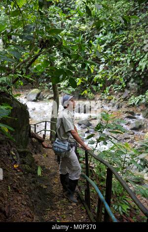 Costa Rica, péninsule d'Osa, guide naturaliste face à une rivière dans la forêt primaire dans le domaine de l'ecolodge Lapa Rios Banque D'Images