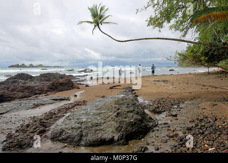 Costa Rica, Osa peninsula,randonneurs dans une plage sauvage de la Sirena au milieu du parc national du Corcovado Banque D'Images