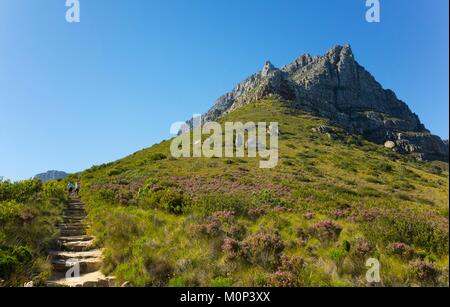 L'Afrique du Sud, Cape Town, Table Mountain National Park, à la périphérie de la ville, à mi-chemin dans la montagne, un sentier de randonnée offre une superbe panorama Banque D'Images