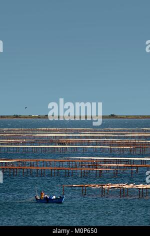 France,Herault,Bouzigues,lagune de Thau parcs huîtres,avec un bateau de pêcheur dans l'avant-plan Banque D'Images