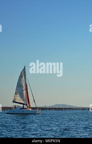 France,Herault,Bouzigues,lagune de Thau catamaran,à l'ancre avec les huîtres dans les parcs l'arrière-plan Banque D'Images